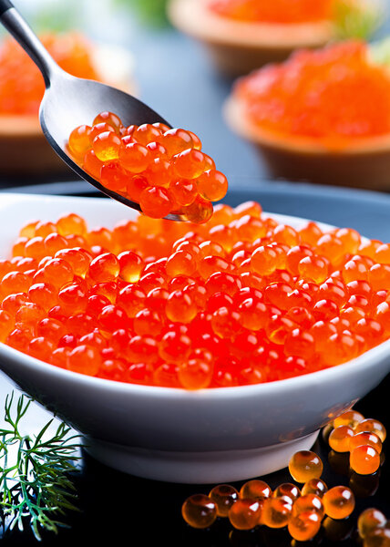Red caviar. Trout caviar in spoon