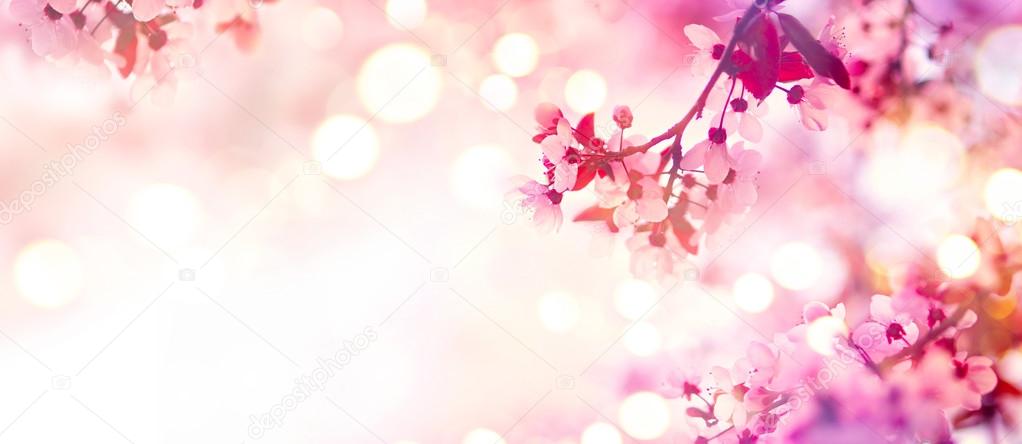 Spring pink blooming tree