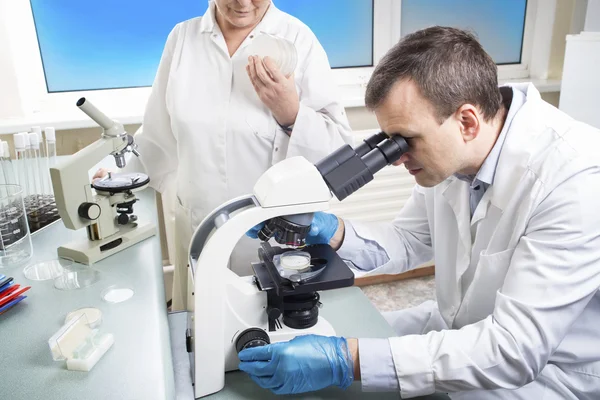 Científico mirando a través del microscopio en laboratorio —  Fotos de Stock