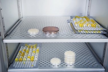 Petri dishes autoclave for sterilising inside. clipart
