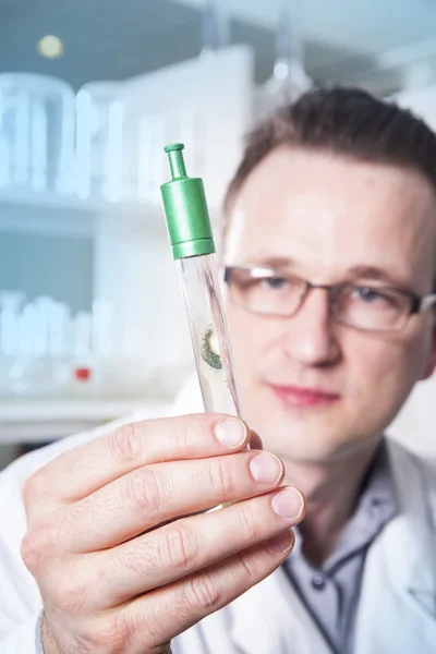 Trabalhador de laboratório em óculos observando tubo de ensaio com molde no laboratório — Fotografia de Stock