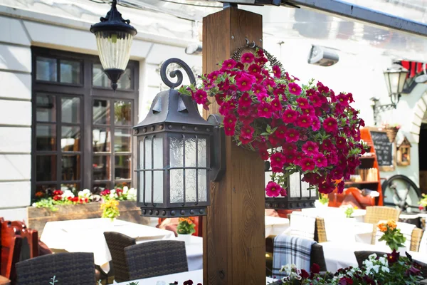 Decoración de flores y lámpara vieja en una entrada a la cafetería . — Foto de Stock