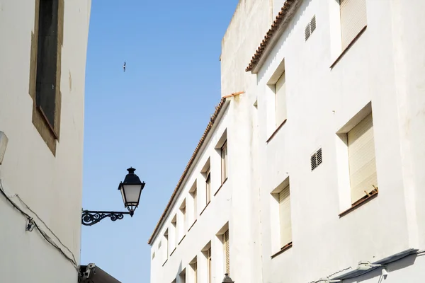 Calle de ciudad — Foto de Stock