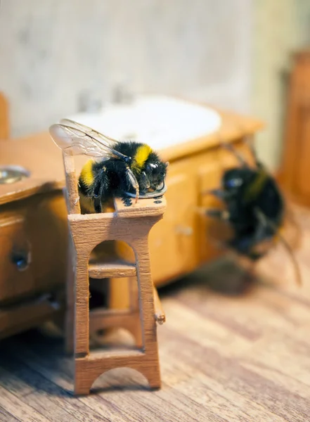 大黄蜂家庭的生活场景. — 图库照片