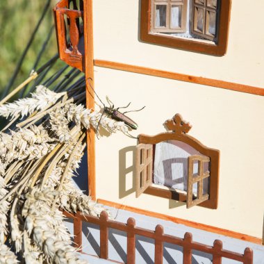 Hamamböceği bebek evde