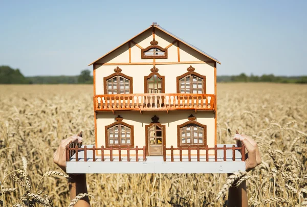 House in a field sunny day. — Stock Photo, Image