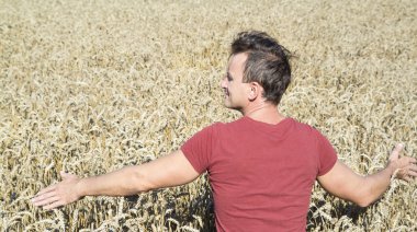 Çiftçi okşayarak çavdar koniler