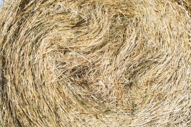 Saman yığını bir daire içinde bükülmüş.