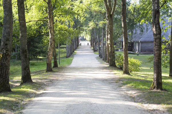 Parklandschap met een lange steegje in een zonnige zomerdag. — Stockfoto