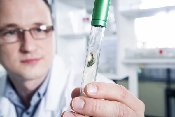 Wissenschaftler im Reagenzglas im Labor — Stockfoto