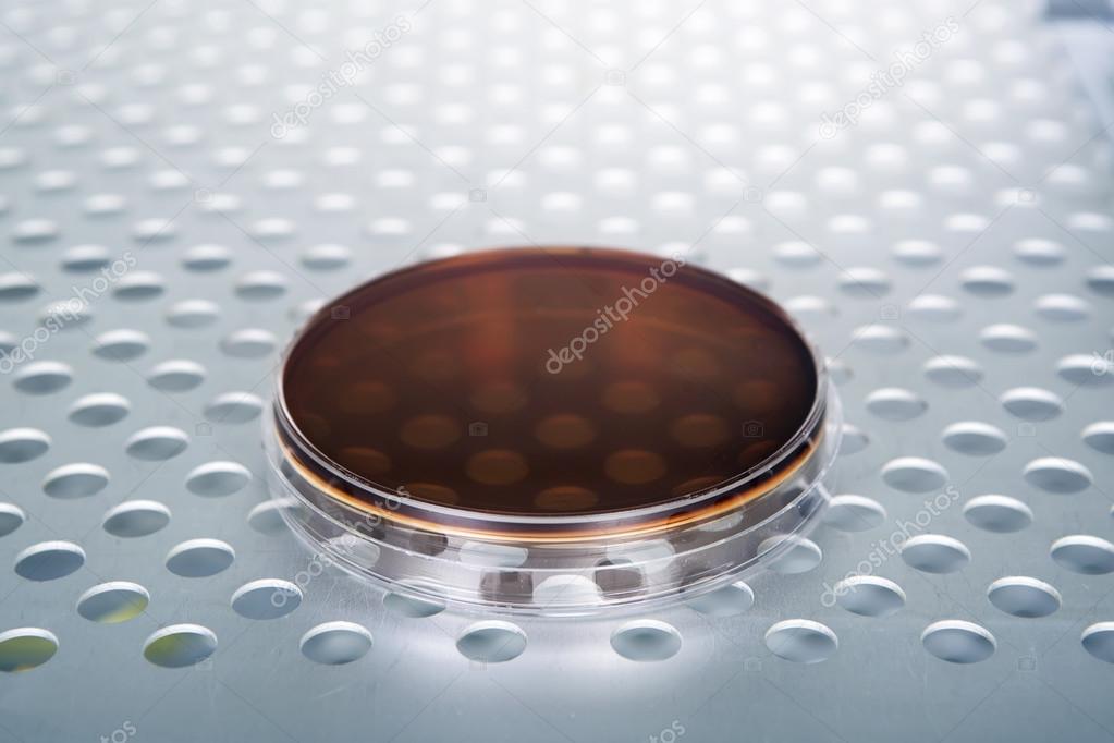Petri dishes autoclave for sterilising inside.