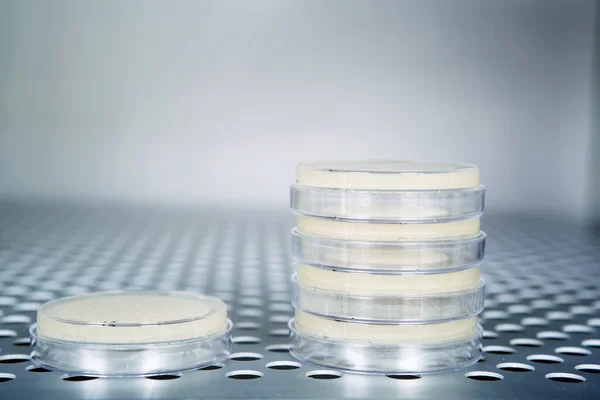 Τρυβλία Petri χυτρών πιέσεως για την αποστείρωση των μέσα. — Φωτογραφία Αρχείου