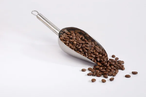 Çelik bir kaşık kahve çekirdekleri