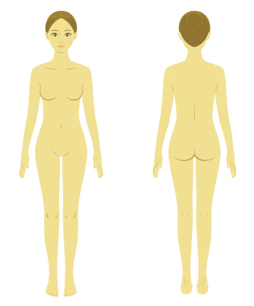 Mujer cuerpo modelo desnudo — Vector de stock