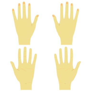 Hands front and back right and left