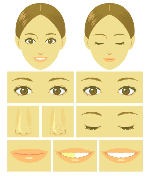 Mujer cara partes — Vector de stock