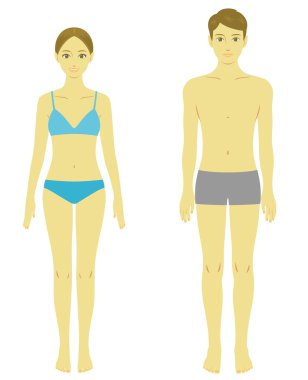 Kadın ve erkek vücudu, model