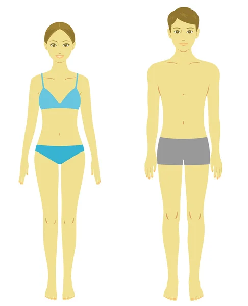 여자와 남자의 몸, 모델 — 스톡 벡터