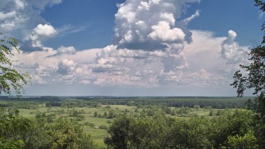 Woodland bulutlu gökyüzü altında