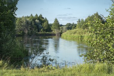 Woodland vahşi nehir