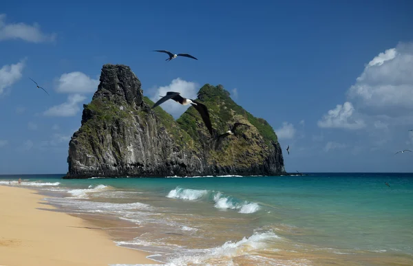 Fernando de Noronha, Brezilya için kristal deniz plaj — Stok fotoğraf