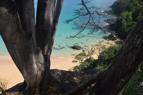 Playa de mar cristalino en Fernando de Noronha, Brasil — Foto de Stock