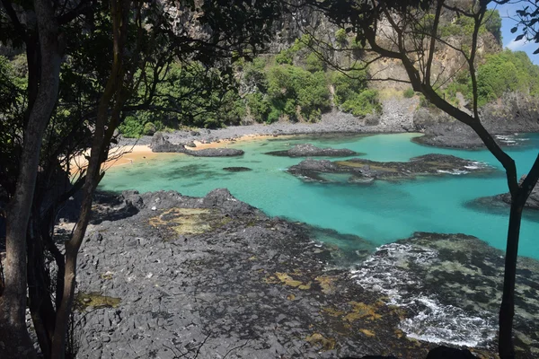 Playa de mar cristalino en Fernando de Noronha, Brasil — Foto de Stock