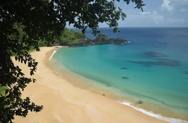 Playa de mar cristalino en Fernando de Noronha, Brasil Fotos de stock libres de derechos