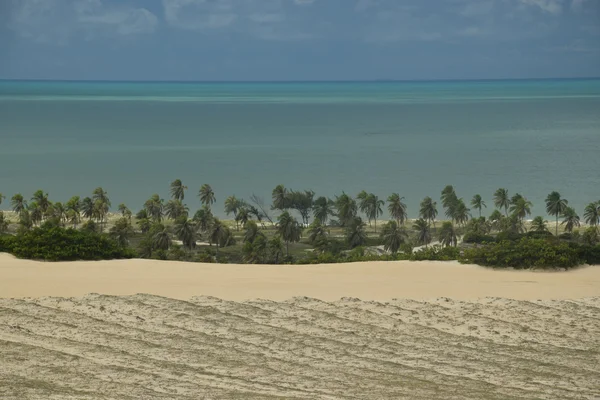 Kristallklara havet stranden i Natal, Brasilien Royaltyfria Stockbilder