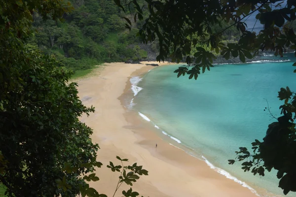 Playa de mar cristalino en Fernando de Noronha, Brasil —  Fotos de Stock