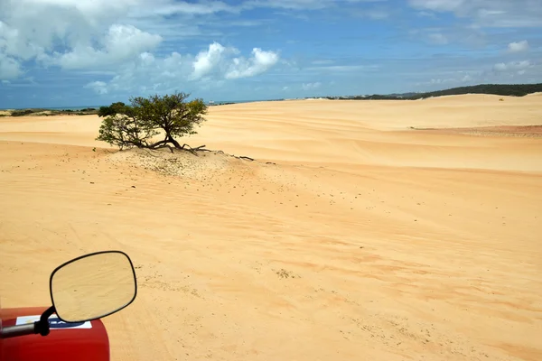 Duna vista do espelho de buggy — Fotografia de Stock