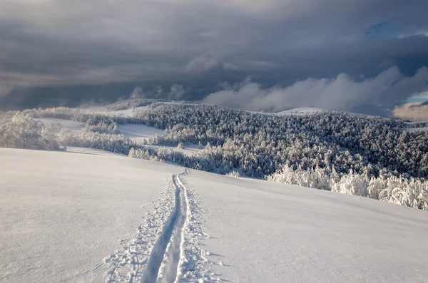 冬山风景用孤独的滑雪道 — 图库照片