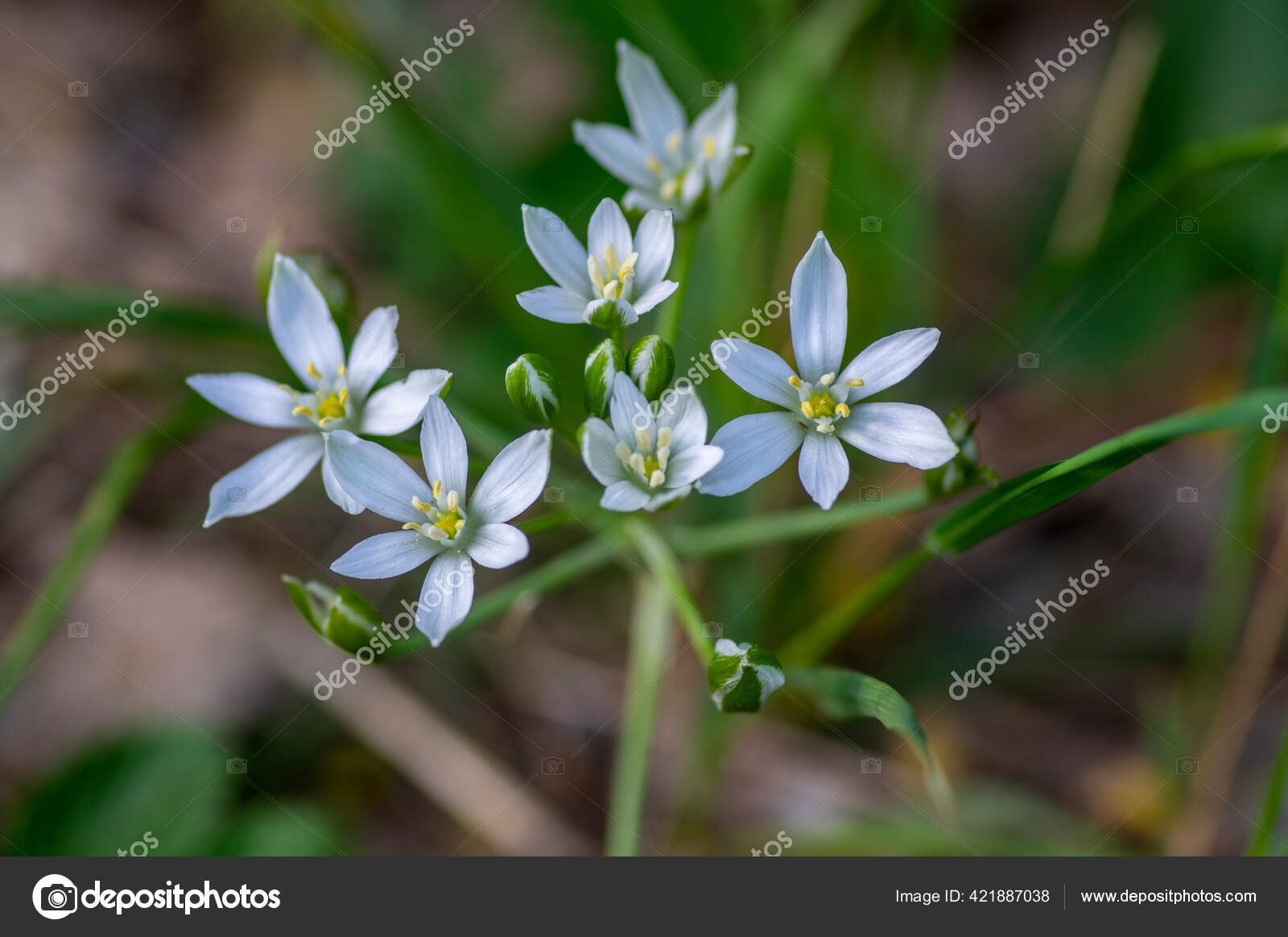 Eleven O Clock Stock Photos Royalty Free Eleven O Clock Images Depositphotos