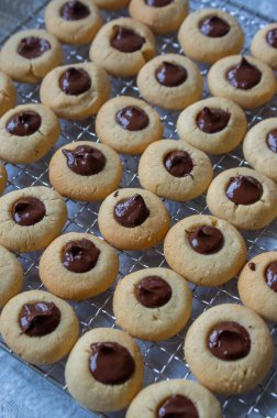 Koyu çikolatayla dolu açık kahverengi bej fıstıklı kurabiyeler, metal ızgaralarda birer birer, lezzetli Noel tatlısı servis ediliyor.