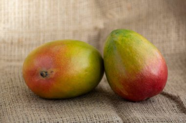 Olgunlaşan lezzetli taş meyveli mangolar açık kahverengi kenevir arka planına yayılmış, bitki mangiferasının ürünü, yeşil kırmızı renk.