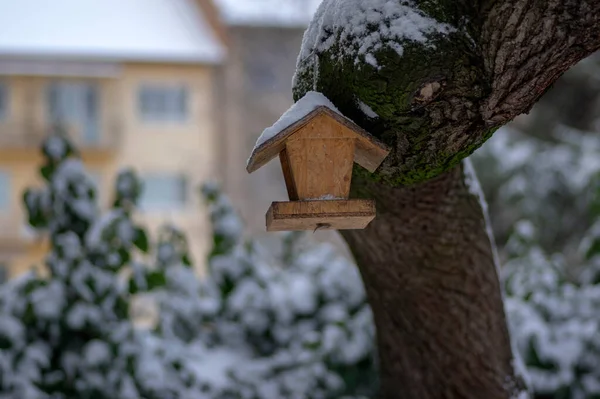 Bird Feeder Hanging Tree Winter Covered Snow Diy Simplicity Craft — Stock Photo, Image