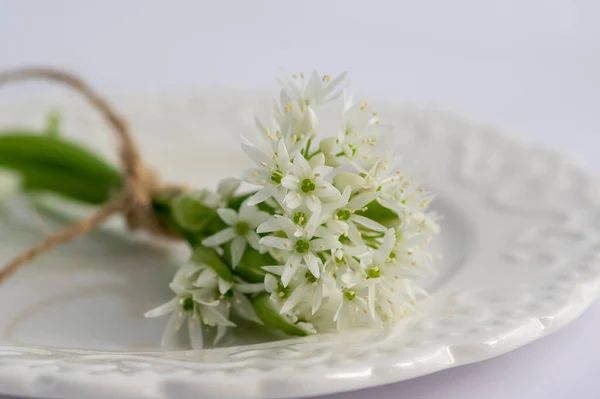 百合花盛开 白色的石榴桶在盘子里开花 茎用黄麻绳捆着 静止不动 — 图库照片