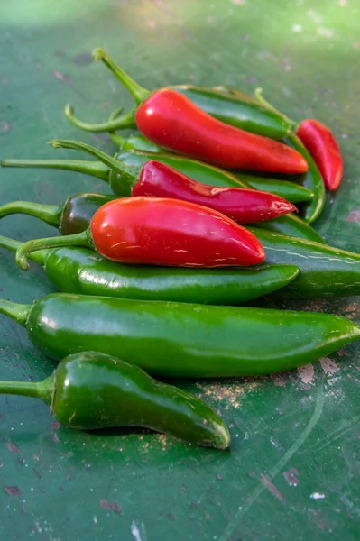 Capsicum Annuum Jalapeno Chili Hot Papryka Grupa Zielonych Czerwonych Owoców — Zdjęcie stockowe