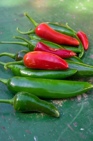 Capsicum Annuum Jalapeno Καυτερές Πιπεριές Τσίλι Ομάδα Πράσινων Και Κόκκινων — Φωτογραφία Αρχείου