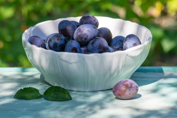 Ovoce Prunus Domestica Stromu Bílé Míse Podávané Vinobraní Zelené Pozadí — Stock fotografie