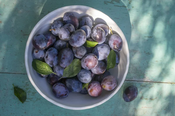 Ovoce Prunus Domestica Stromu Bílé Míse Vinobraní Zelené Pozadí Popraskaným — Stock fotografie