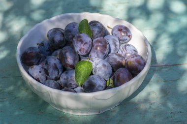 Beyaz kasedeki erik ağacının meyveleri, çatlak yüzeyi olan yeşil arka plan, lezzetli koyu mavi erikler ve yeşil yapraklar.