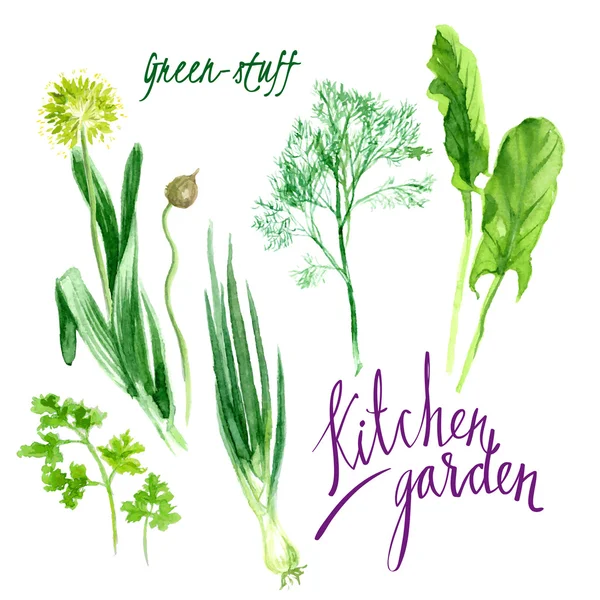 Kitchen garden — Stock Illustration Kitchen garden Stock Illustration