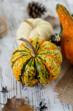 Tahta masada taze balkabakları, sonbahar konsepti.