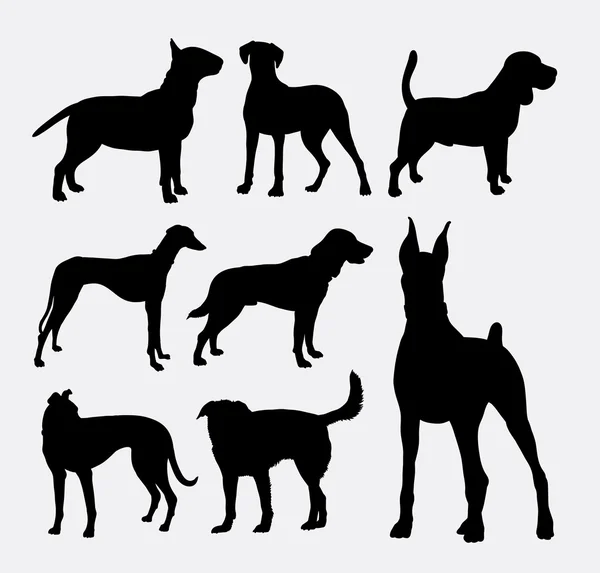 Perro animal de la palmera 1 silueta — Archivo Imágenes Vectoriales