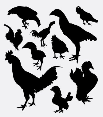 Horoz, horoz, tavuk, tavuk siluet i. Sembol, logo, web simgesi, oyun öğesi, nesne, maskot, etiket, işaret veya istediğiniz herhangi bir tasarım için iyi kullanım. Kullanımı kolay.