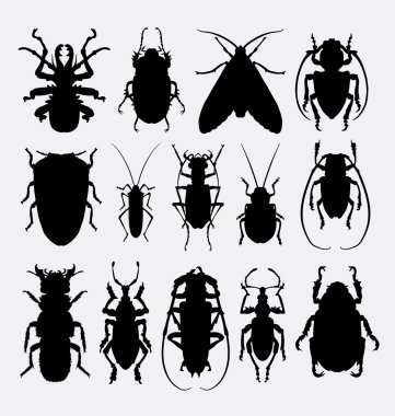 Böcek, böcek, araknid hayvan silhoutte