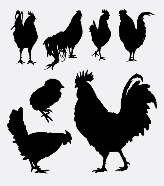 Rooster poultry animal silhouette 4 — Stock Vector
