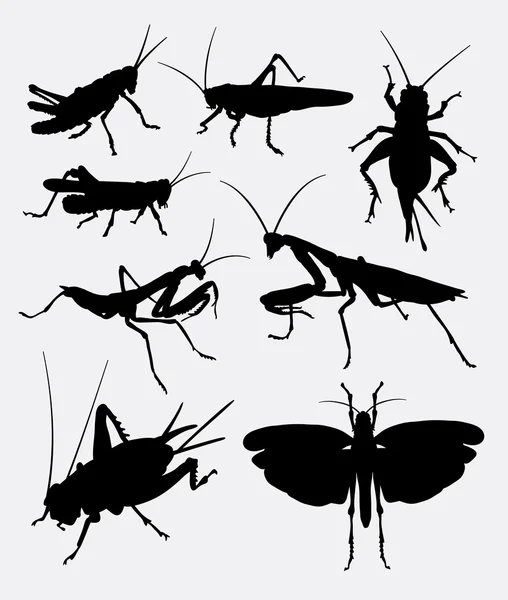 Grasshopper and cricket silhouette — Stock Vector
