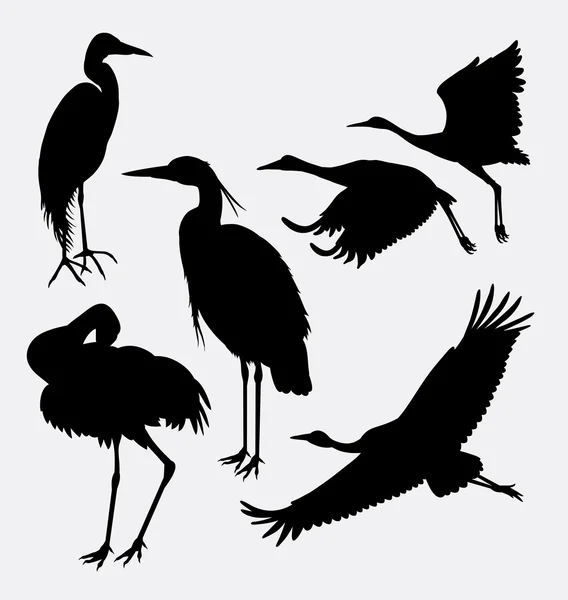 Ooievaar, de reiger, de zilverreiger en de kraan dierlijke silhouet — Stockvector